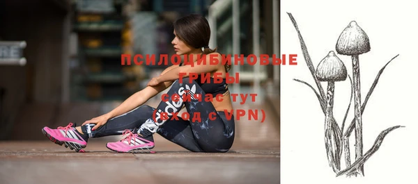 гидропоника Верхний Тагил