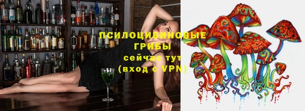 гидропоника Верхний Тагил