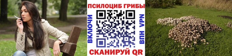 Галлюциногенные грибы мухоморы  Купить где  Купино 